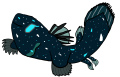 Coelacanth Sally