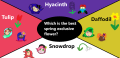 Thumbnail for version as of 22:28, 18 March 2025